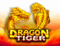 dragon tiger